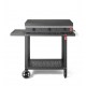 Pla.Net Gasgrill Rock 80 L mit Trolley Smart Rock